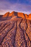 Arid Times