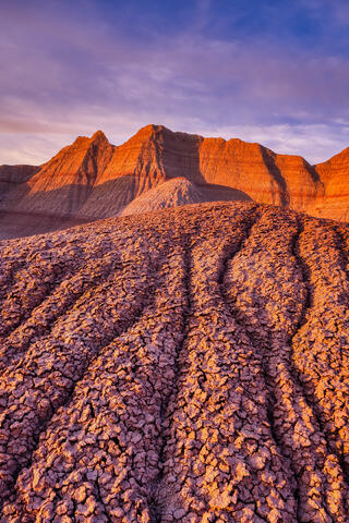 Arid Times