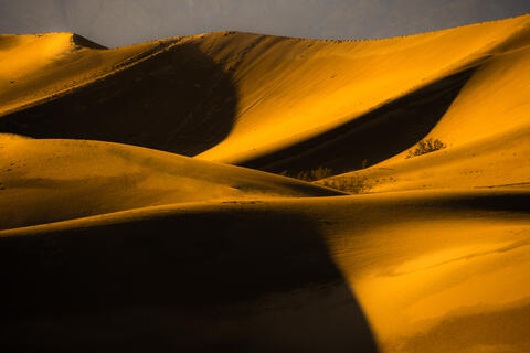 Arrakis Lite