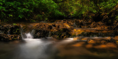 Calm in The Refuge