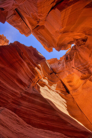 Canyon X V