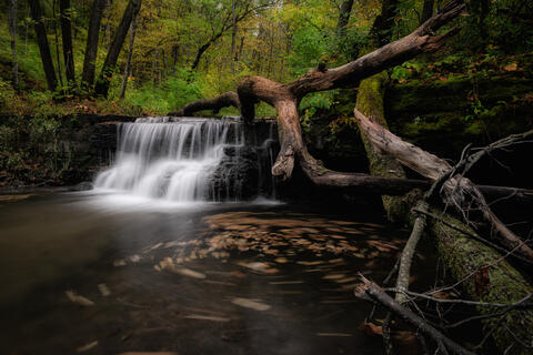 Caron Falls Whirl
