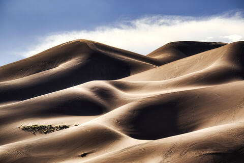 Dune III