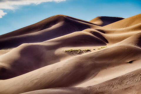 Dune VI