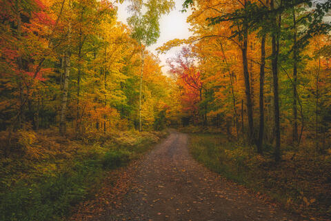 Facet Road