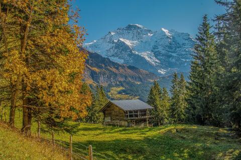 Jungfrau Companion