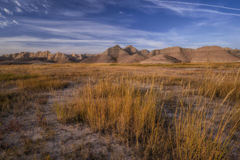 Midwestern Prairielands