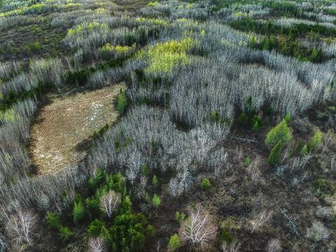 Peatlands I