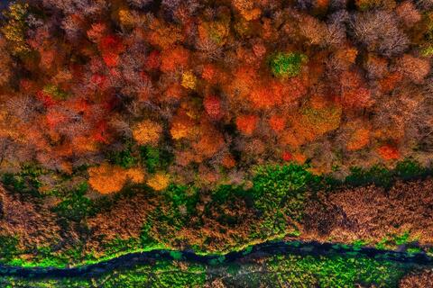 Radiant Creek