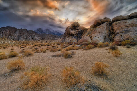 Sanctity