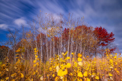 Season Stretched