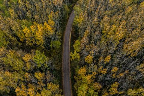 Second Yellow Dirt Road