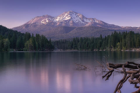 Shasta Reflection