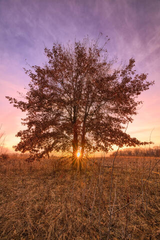 Slice of Light