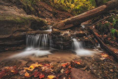 Small Fall