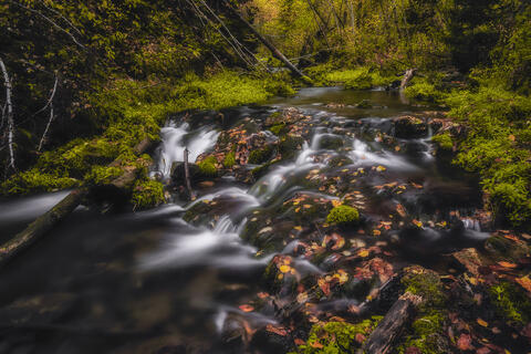 Spearfish Flow