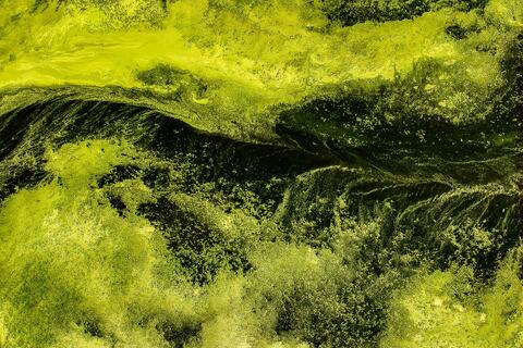 Stream Stasis