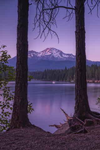 Summer Vibes Lake