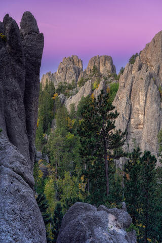 Tame Spires