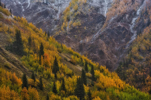 Transition Ridge