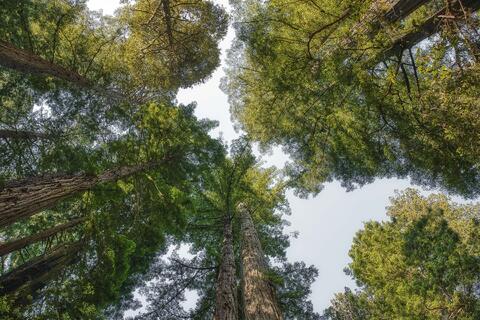 Under Above