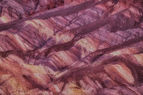 Vein