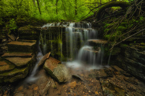 Wellstone II