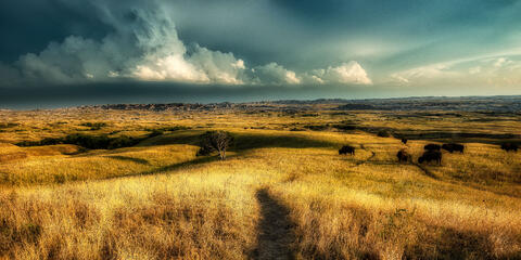 Western Visions