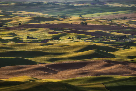 Wheatlands I