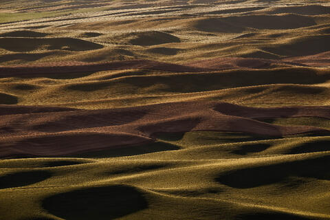 Wheatlands II
