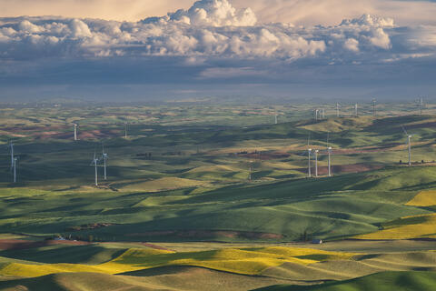 Wheatlands IX