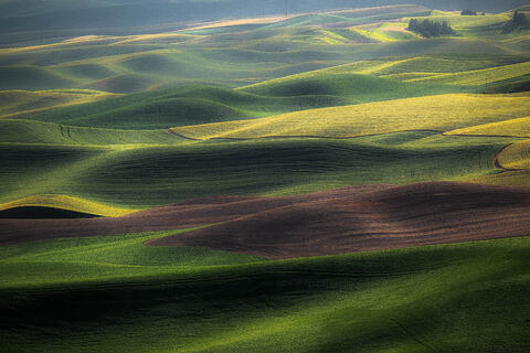Wheatlands V