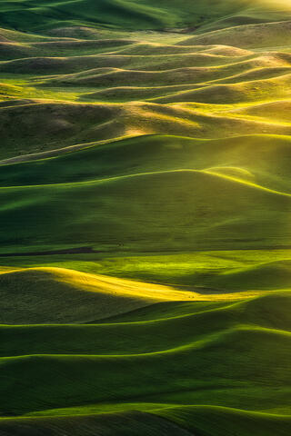 Wheatlands VI