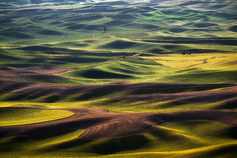 Wheatlands XVII
