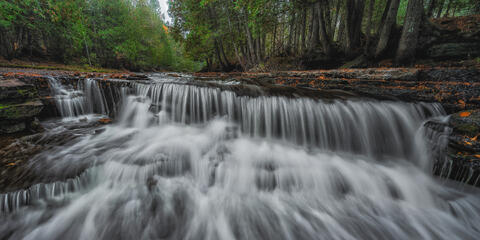 Whitefish II