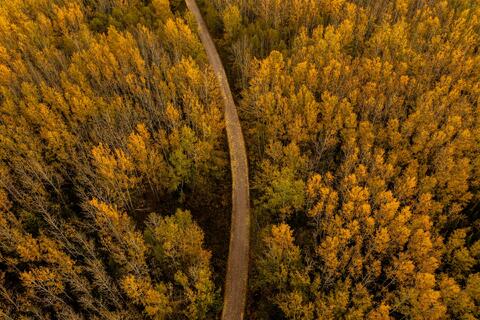 First Yellow Dirt Road