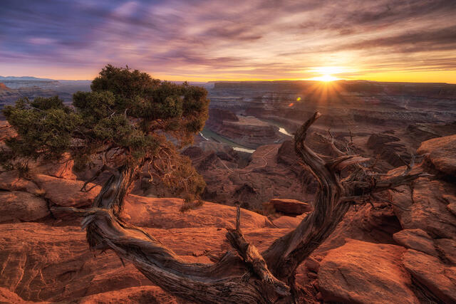 Moab (Utah)