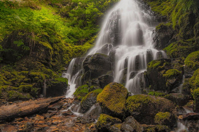 Pacific Northwest