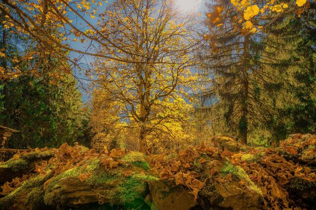 Switzerland