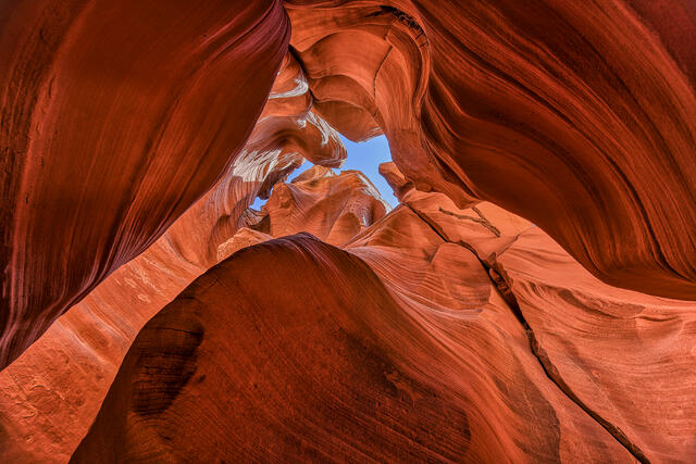Arizona