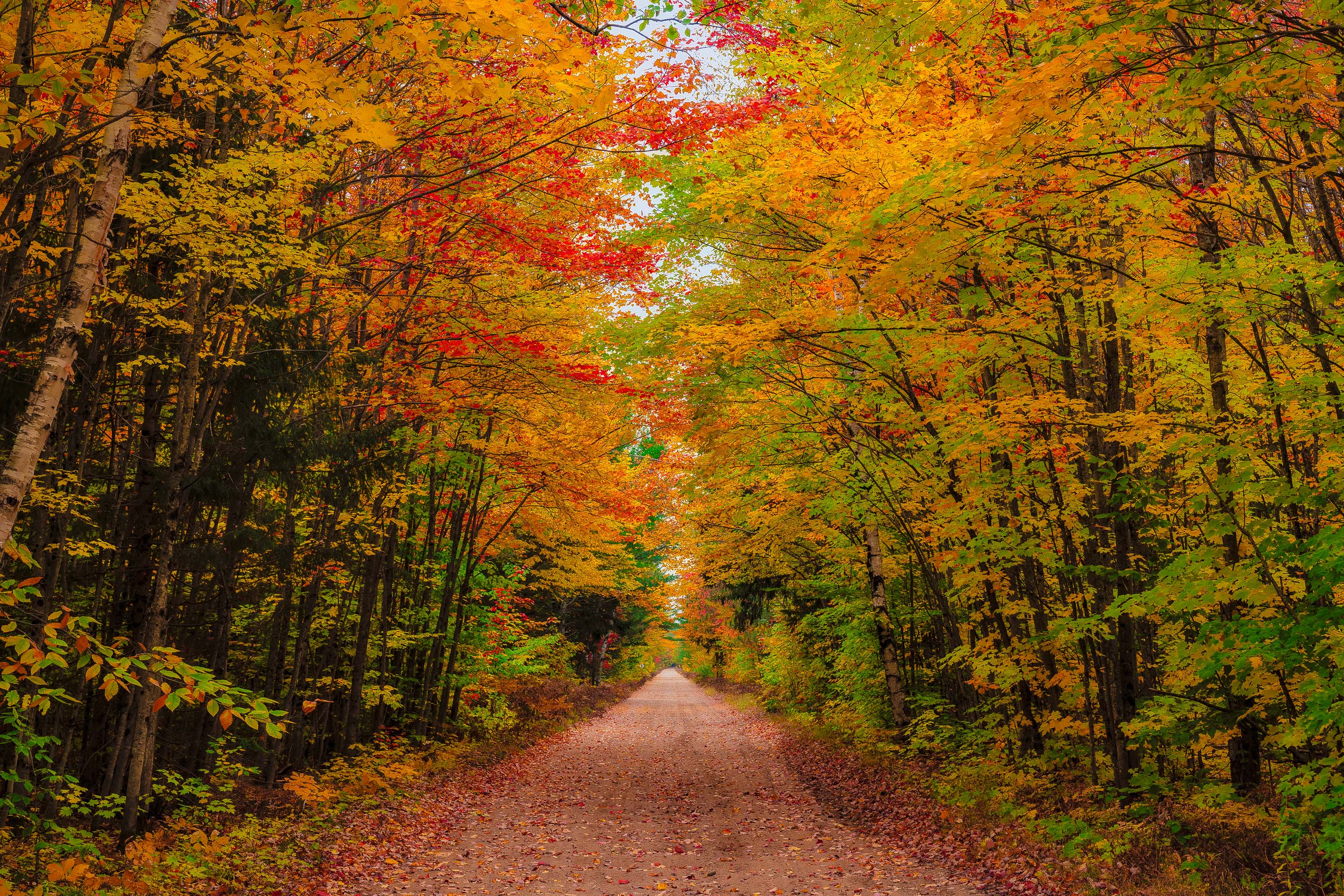 Autumn Road Autumn Road