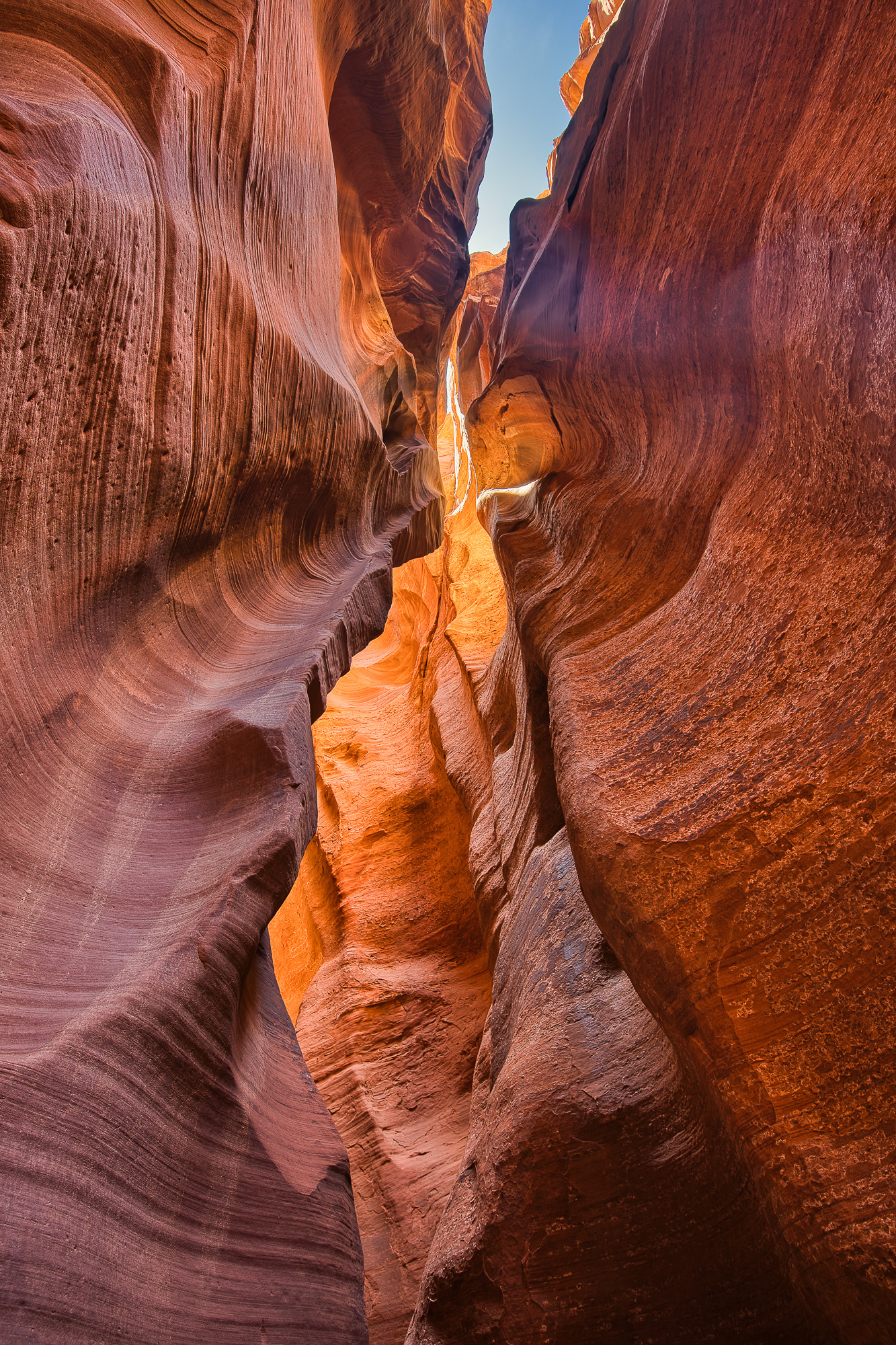 Canyon X II Canyon X II