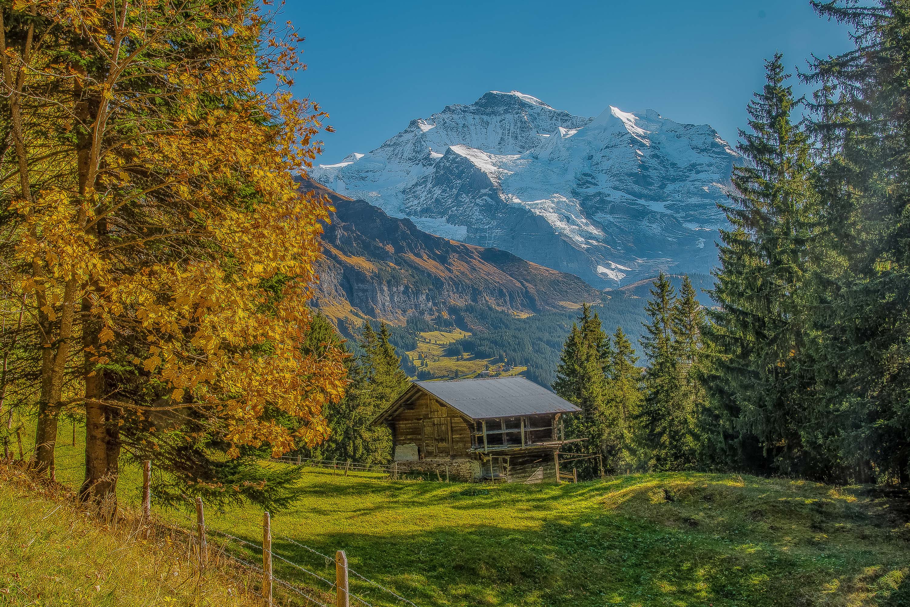 Jungfrau Companion Jungfrau Companion