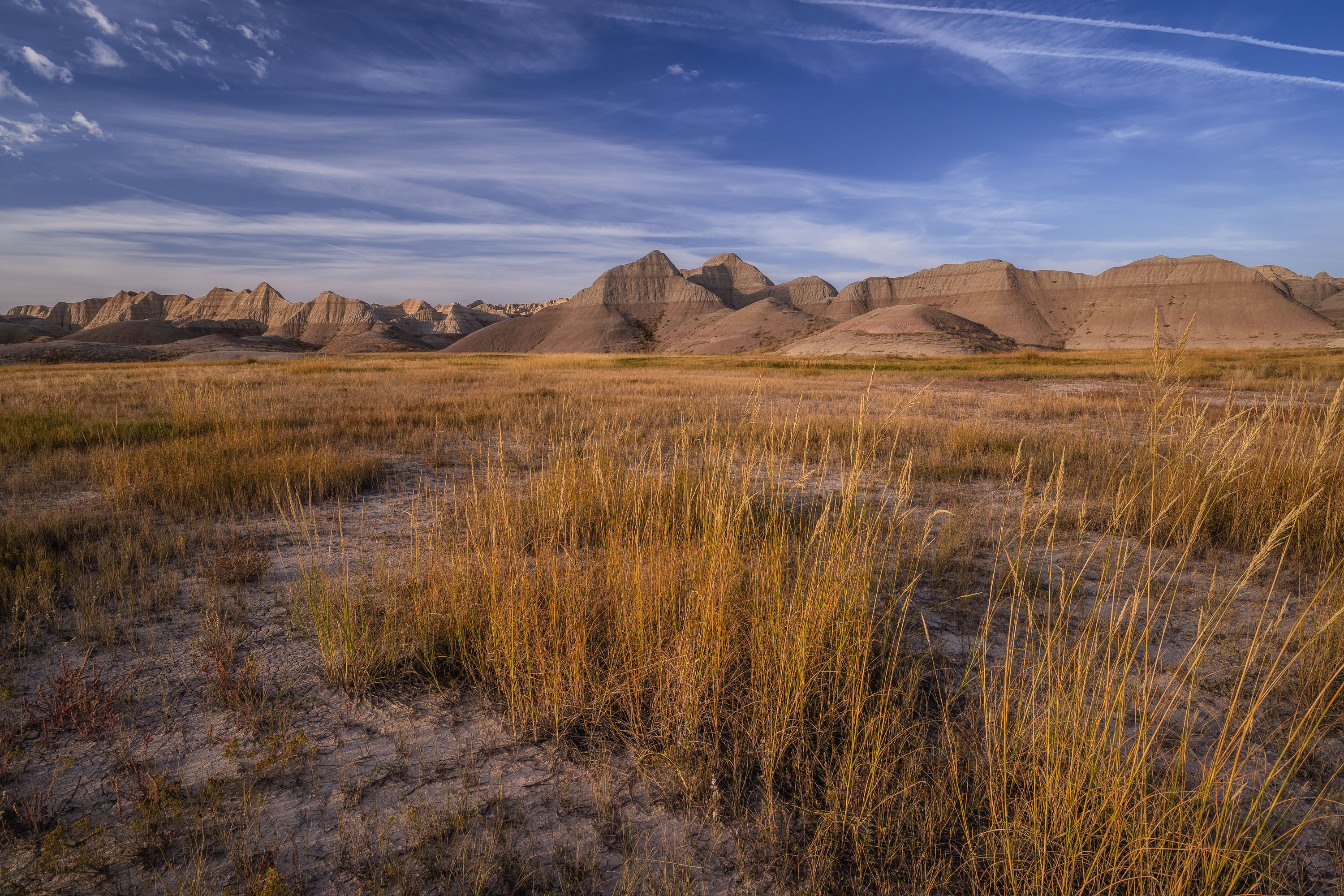 Midwestern Prairielands Midwestern Prairielands