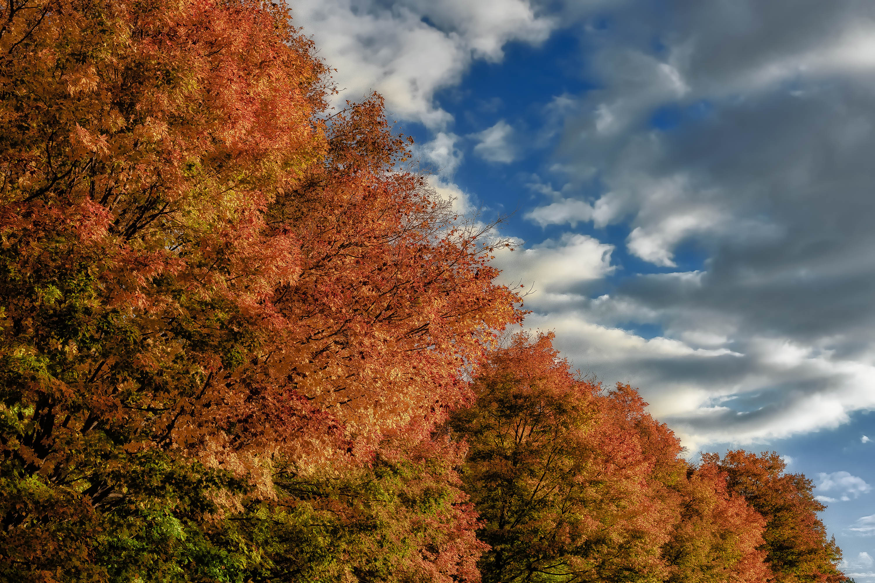 October Shades October Shades