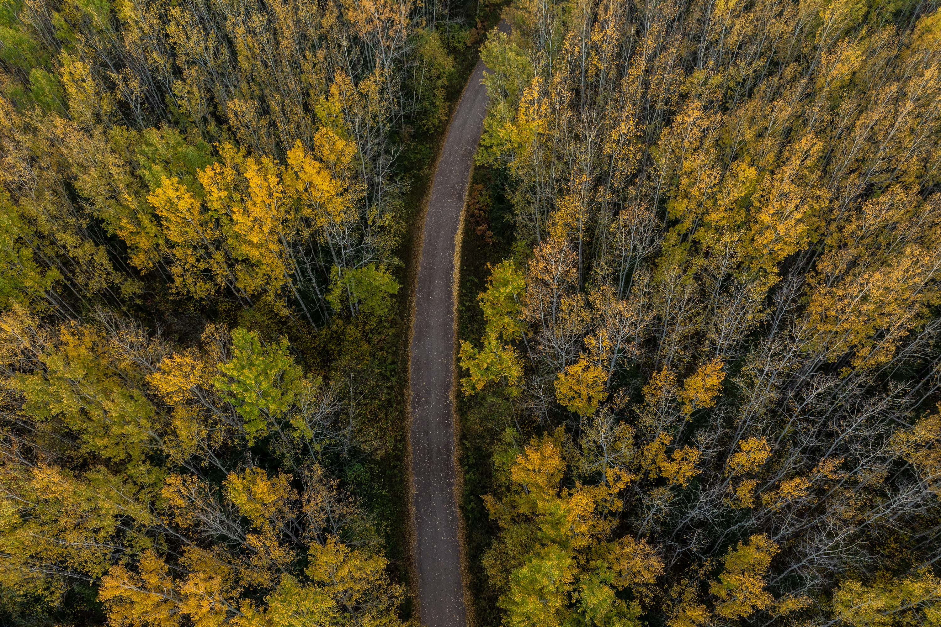 Second Yellow Dirt Road Second Yellow Dirt Road