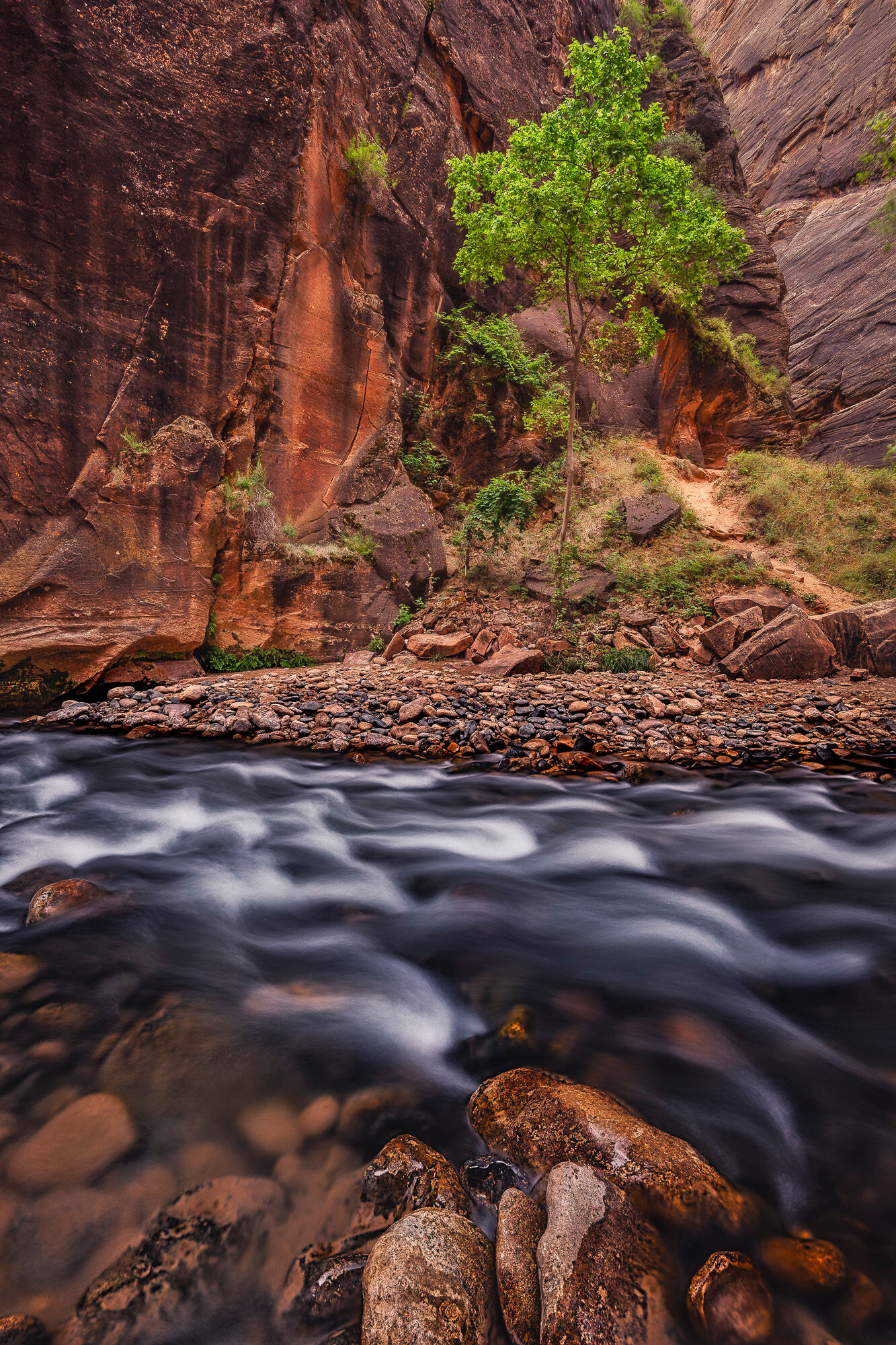 Visions of Zion Visions of Zion