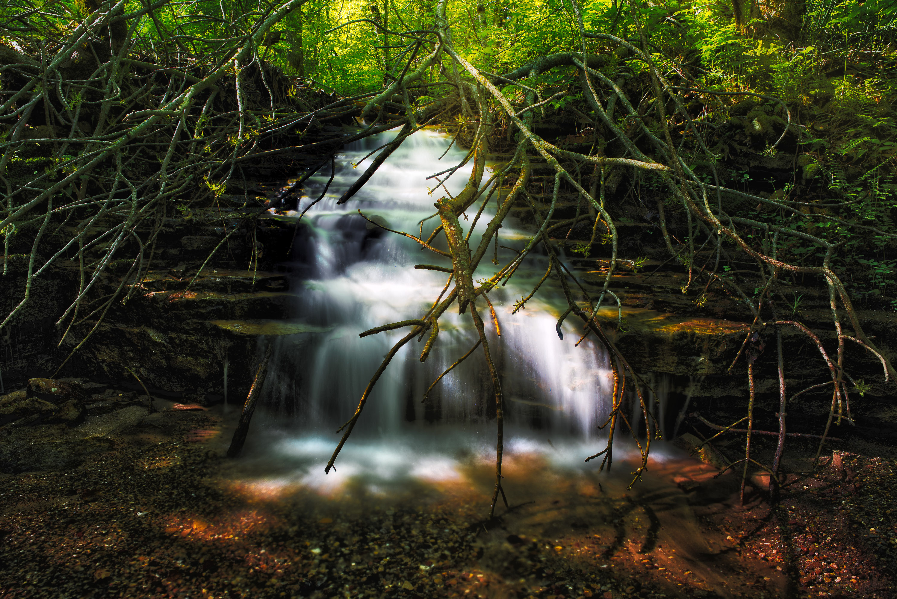 Wellstone I Wellstone I